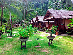 The native style cottages set in a large and well maintained garden